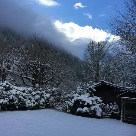 샬레 Des Petits Loups 샤모니